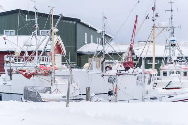 Belle Scandinave Nordique Lofoten Hiver Images De Stock Libres De Droits