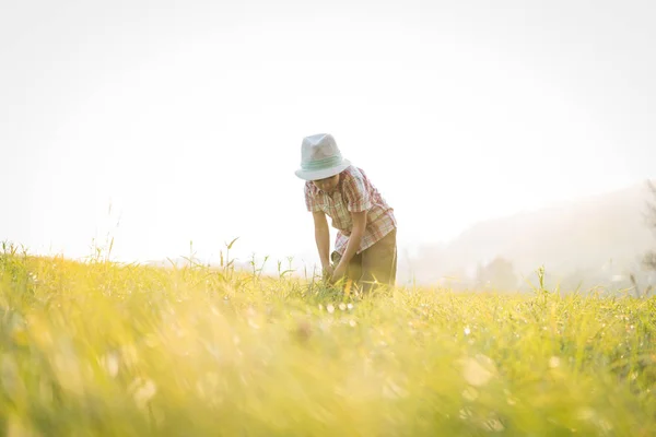 Child Beautiful Grass Field — Stock Photo, Image