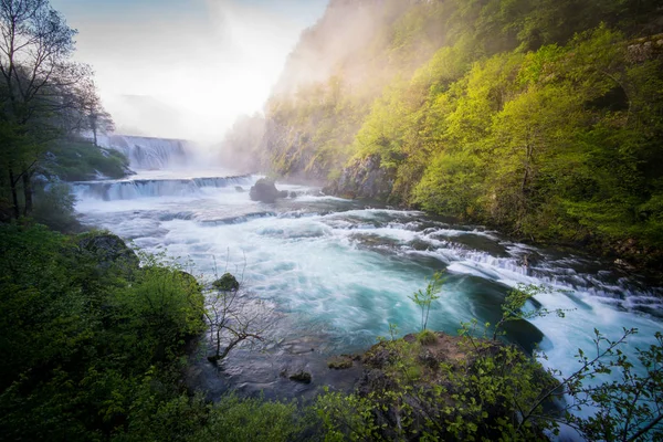 Vacker Natur Med Rinnande Vatten Runt Omkring — Stockfoto