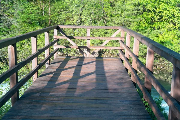 Brücke Einem Grünen Schönen Wald — Stockfoto