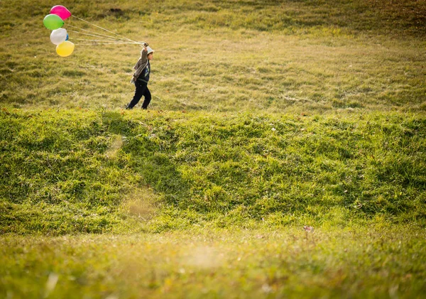 Malé Dítě Balónky Louce — Stock fotografie