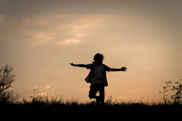 Junge Silhouette Auf Der Sonnenuntergangswiese — Stockfoto