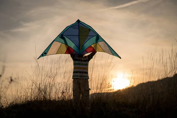 Joyeux Petit Enfant Dans Pré Gazonné Avec Cerf Volant — Photo