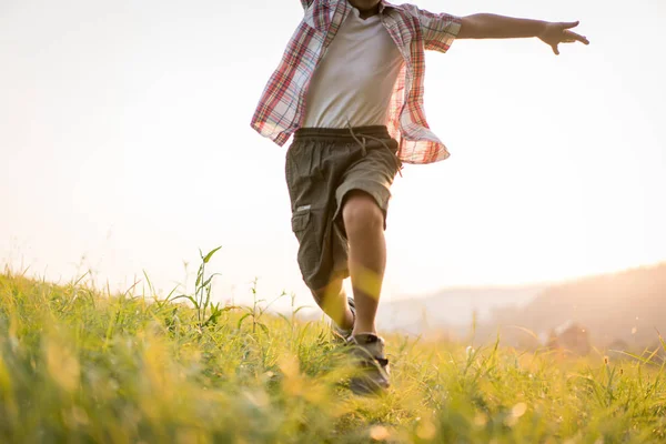 Pequeño Niño Feliz Prado Hierba — Foto de Stock