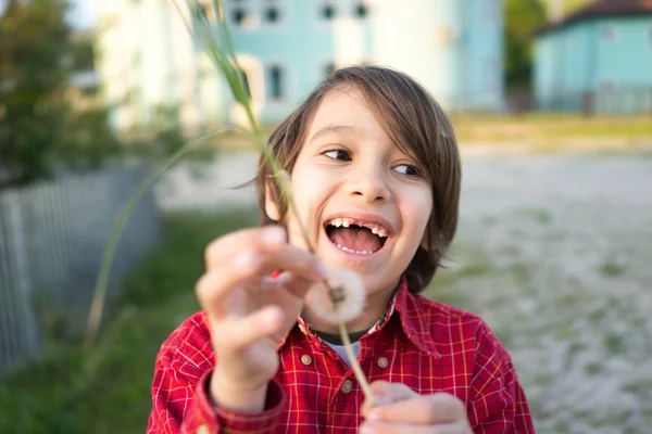 Klein Schattig Jongetje Weide Met Paardebloemen — Stockfoto