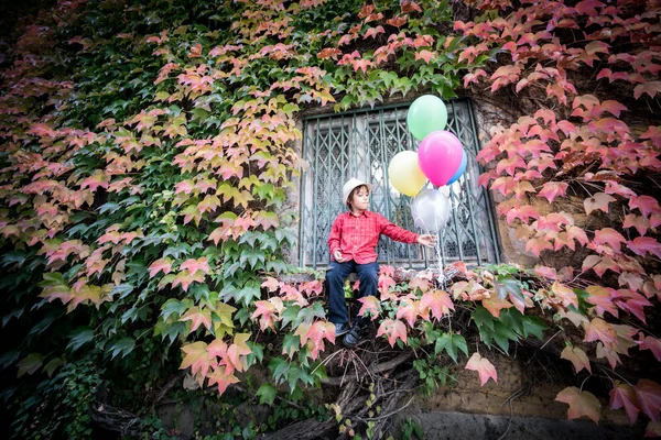 Μικρό Αγόρι Μπαλόνια Στο Σπίτι Πολύχρωμα Φύλλα Royalty Free Εικόνες Αρχείου