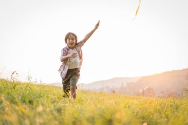 Çayır üzerinde uçurtması olan küçük çocuk