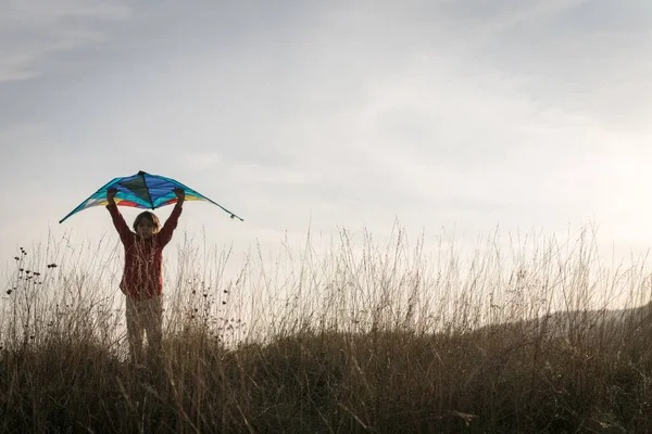 Niño Feliz Con Silueta Cometa Prado Hierba —  Fotos de Stock