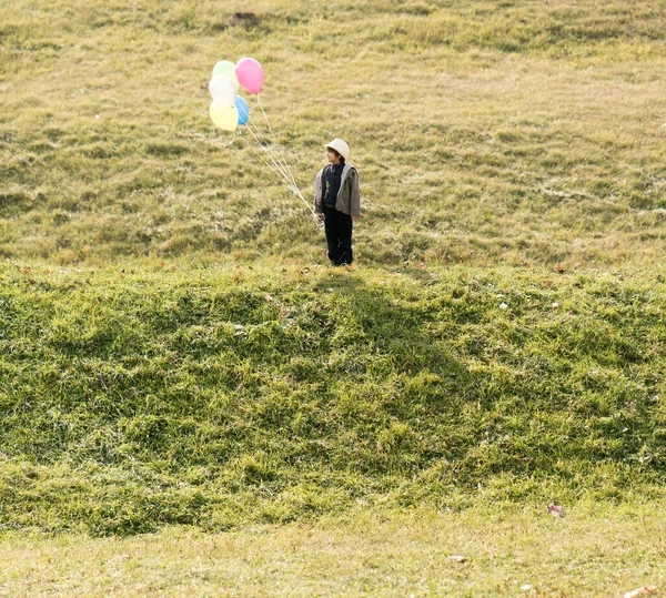 Kleiner Süßer Junge Auf Der Wiese Mit Luftballons — Stockfoto