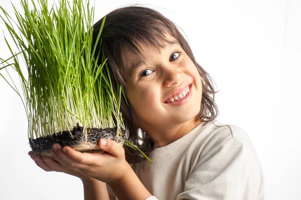 Boy Holding Plants Close — Stock Photo, Image