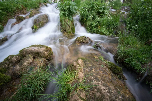 Bela Natureza Com Água Corrente Redor — Fotografia de Stock