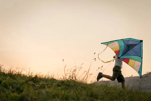 小孩子在草地上放风筝 — 图库照片