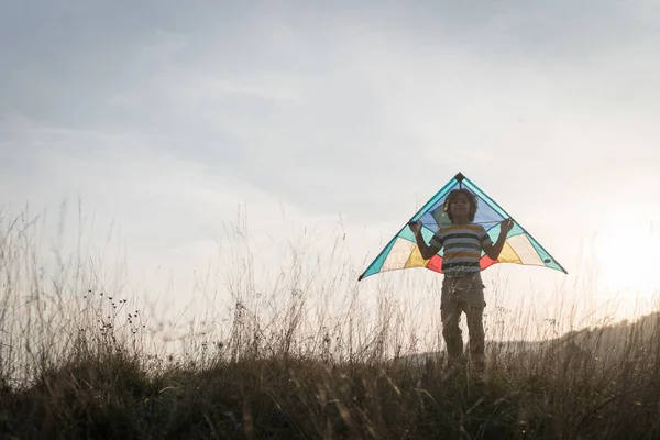 Happy Boy Kite Silhouette Grass Meadow — Stock Photo, Image