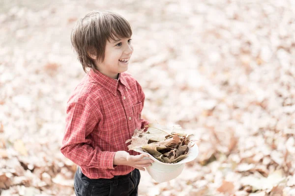 Gelukkig Schattig Jongen Herfst Bladeren — Stockfoto