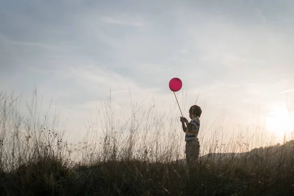 Joyeux Petit Enfant Dans Pré Gazonné Photos De Stock Libres De Droits