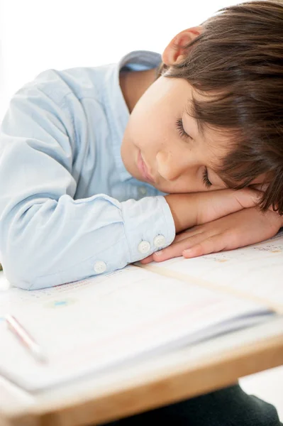 Boy Studying Close Stock Image