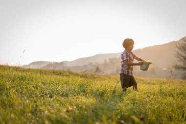 Güzel çim tarlasında çocuk