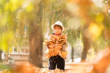 Sonbahar yapraklarında mutlu şirin çocuk.