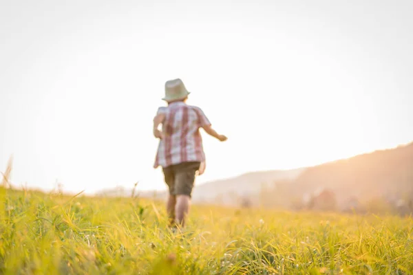 Bambino Sul Bellissimo Campo Erba — Foto Stock