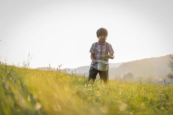 Güzel Çim Tarlasında Çocuk — Stok fotoğraf
