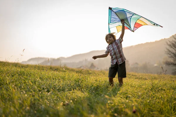 草の牧草地で幸せな小さな子供 — ストック写真