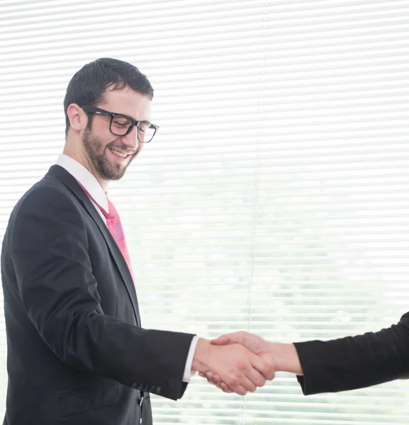 Handshaking Deal Business People Executives — Stock Photo, Image