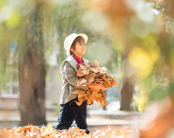 Joyeux Garçon Mignon Feuilles Automne — Photo