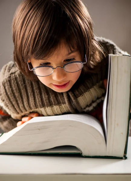 Young Boy Reading Book — Stock Photo, Image