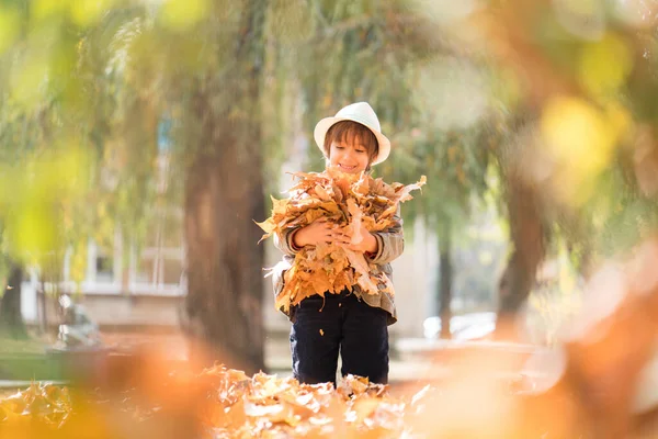 Menino Bonito Feliz Folhas Outono — Fotografia de Stock