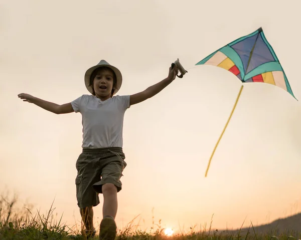 Pequeño Niño Con Cometa Prado —  Fotos de Stock