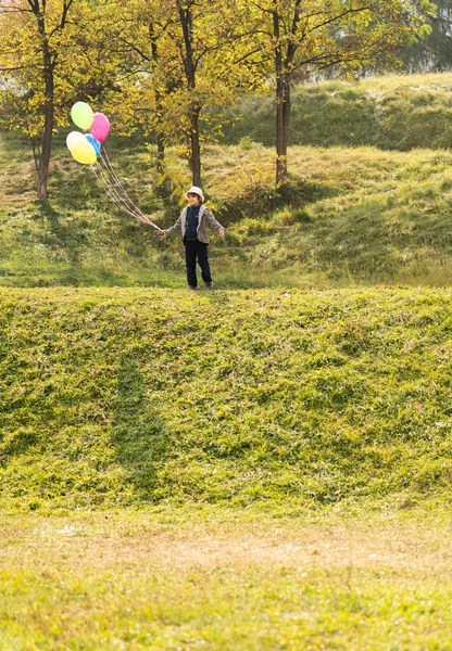 Mały Uroczy Chłopiec Łące Trawy Balonami — Zdjęcie stockowe