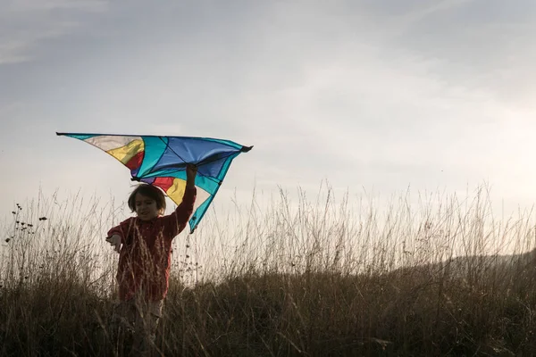 Glücklicher Junge Mit Drachensilhouette Auf Graswiese — Stockfoto