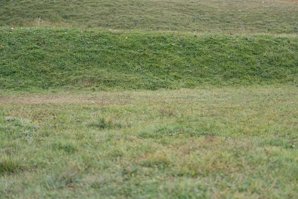 Grön Äng Med Fint Gräs — Stockfoto