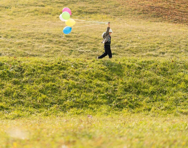 Μικρό Χαριτωμένο Αγόρι Στο Λιβάδι Γρασίδι Μπαλόνια — Φωτογραφία Αρχείου