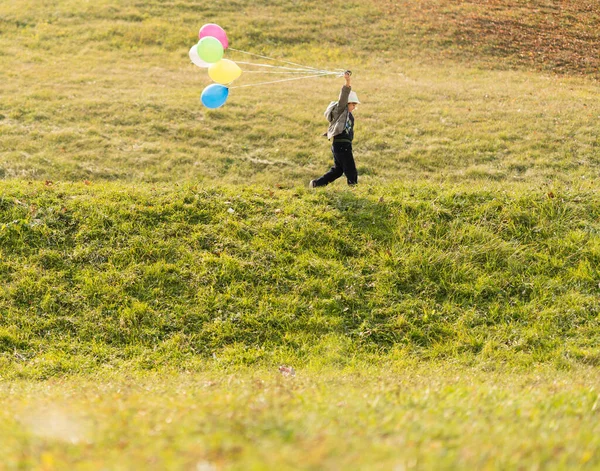 Little Cute Boy Grass Meadow Balloons — Stock Photo, Image