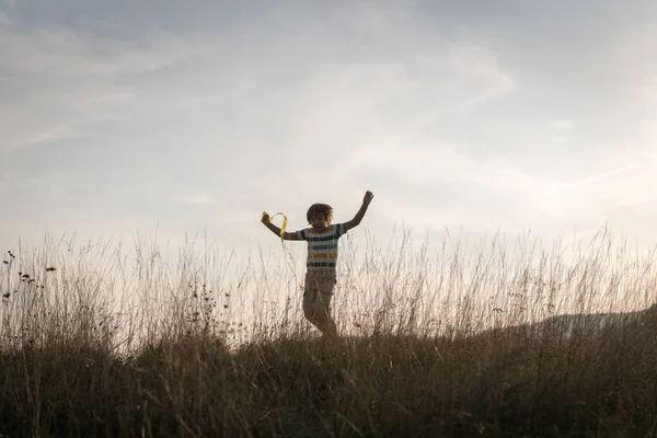 Ευτυχισμένο Μικρό Παιδί Στο Γρασίδι Ηλιοβασίλεμα Πεδίο — Φωτογραφία Αρχείου