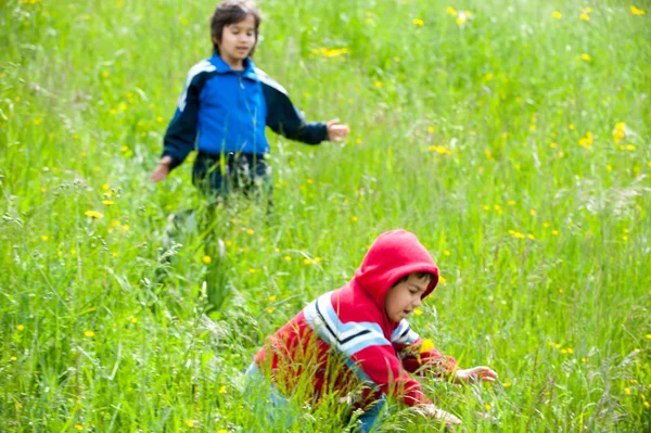 Mutlu Küçük Çocuklar Yolculuklar — Stok fotoğraf