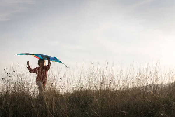 Gelukkige Jongen Met Vlieger Silhouet Gras Weide — Stockfoto