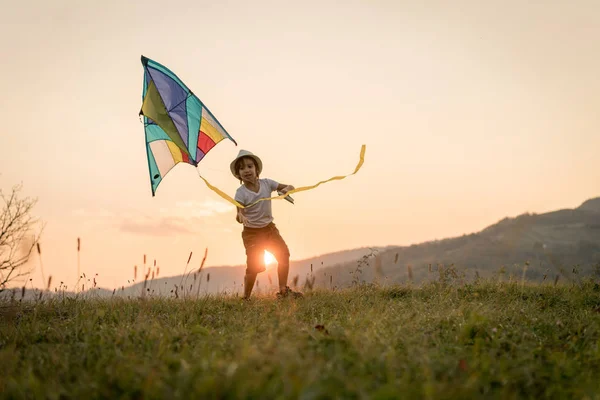 Çayır Üzerinde Uçurtması Olan Küçük Çocuk — Stok fotoğraf