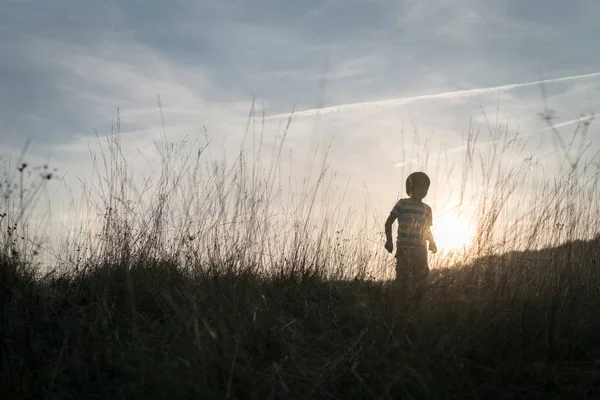 Kindersilhouette Auf Der Sonnenuntergangswiese Beim Spielen — Stockfoto