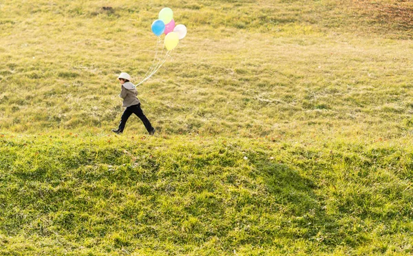 Liten Söt Pojke Gräs Äng Med Ballonger — Stockfoto