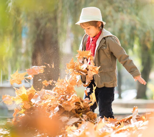 秋の紅葉の中で幸せなかわいい男の子 — ストック写真