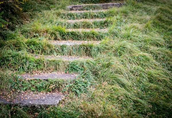 Grass Field Nice Stairs Path — Stock Photo, Image