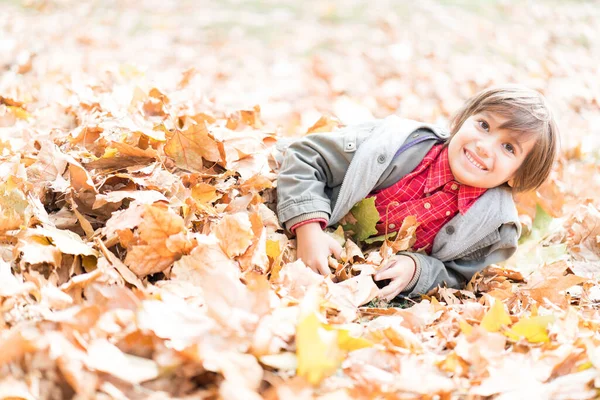 Sonbahar Yapraklarında Mutlu Şirin Bir Çocuk — Stok fotoğraf