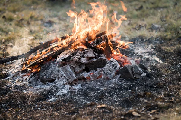 Campfire Meadow Rural Place — Stock Photo, Image