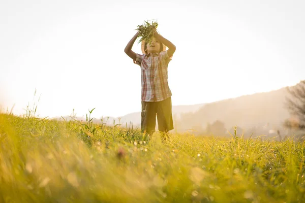 美しい草原の上の子供 — ストック写真
