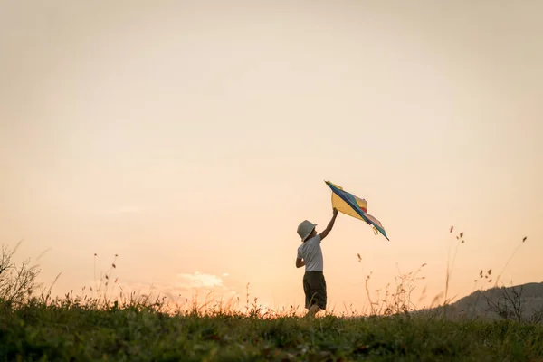 Little Kid Kite Meadow — kuvapankkivalokuva