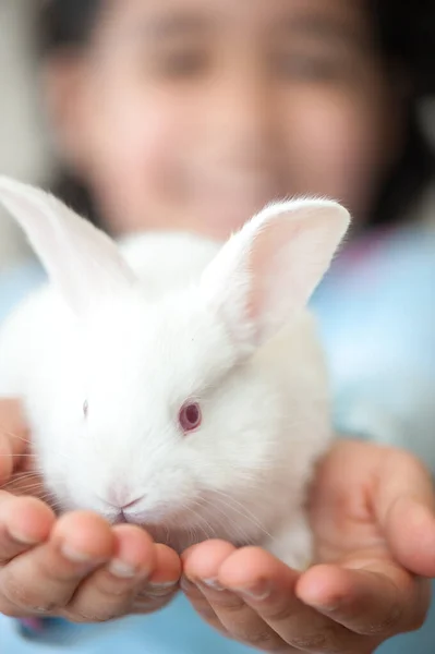 Genç Kız Tavşanı Tutuyor — Stok fotoğraf