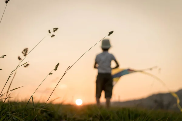 Fuera Foco Niño Con Cometa Prado —  Fotos de Stock