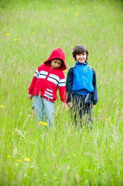 Felice Bambini Piccoli Godendo Viaggio — Foto Stock